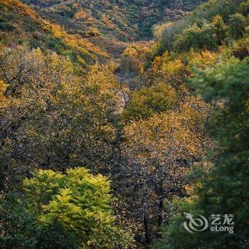 隐居乡里·蜡笔森林民宿酒店提供图片