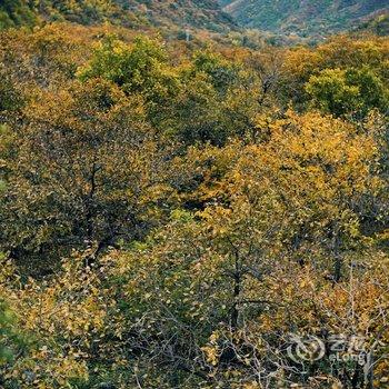 隐居乡里·蜡笔森林民宿酒店提供图片