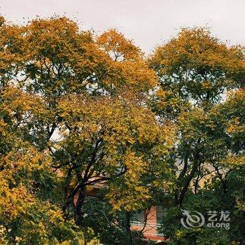 隐居乡里·蜡笔森林民宿酒店提供图片