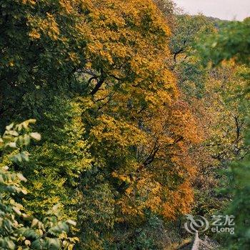 隐居乡里·蜡笔森林民宿酒店提供图片