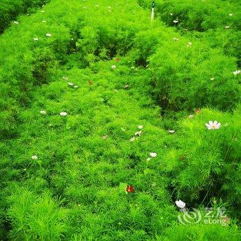 普者黑清境原宿客栈酒店提供图片