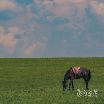 塞罕坝红金度假别墅酒店提供图片