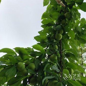 慈利曹家大院酒店提供图片