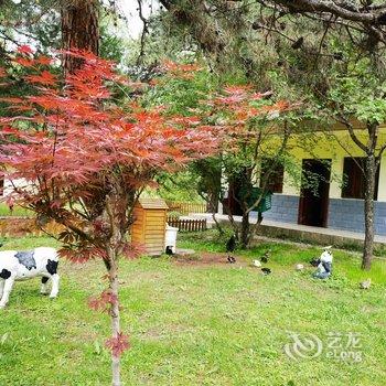 迭部大拇指乡村生态园度假村酒店提供图片