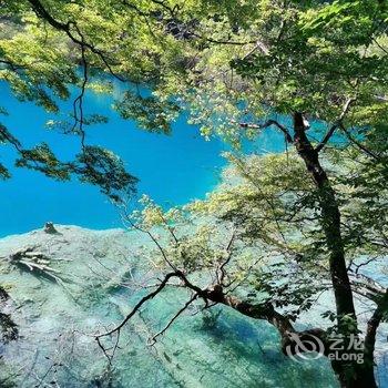 九寨沟水墨记忆度假酒店酒店提供图片