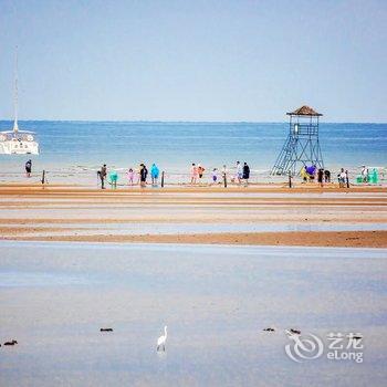 北戴河顺青旅馆酒店提供图片