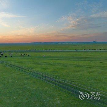 呼伦贝尔牧居原上蒙古包营地酒店提供图片