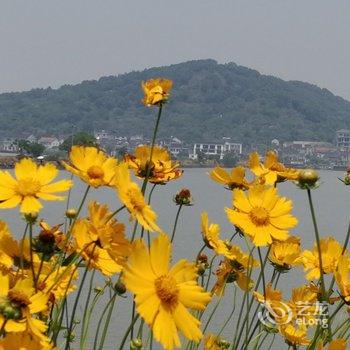 苏宇玉特色民宿(植里路分店)酒店提供图片