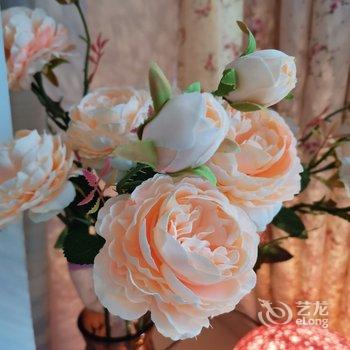 �����ܰ�Ƶ깫Ԣ�Ƶ��ṩͼƬ