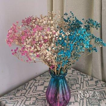 �����ܰ�Ƶ깫Ԣ�Ƶ��ṩͼƬ