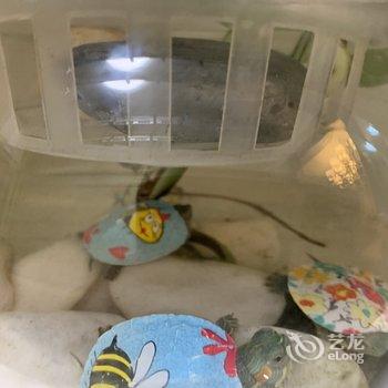 风雨小城公寓(北部湾大道分店)酒店提供图片