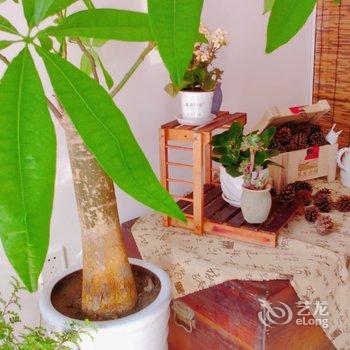 茸茸妈公寓(登州路分店)酒店提供图片