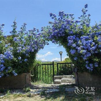 大理洱海之境花园海景酒店酒店提供图片