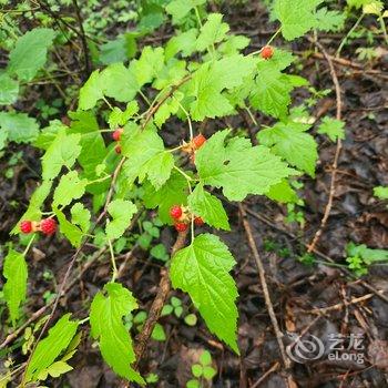 北京好亲戚民俗农家乐酒店提供图片