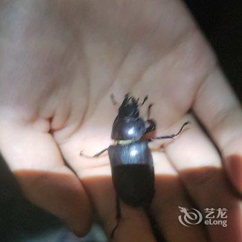 北京好亲戚民俗农家乐酒店提供图片