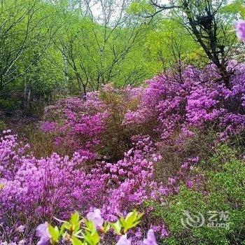北京好亲戚民俗农家乐酒店提供图片
