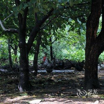 北京本土人家农家院酒店提供图片