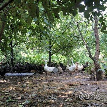北京本土人家农家院酒店提供图片