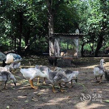 北京本土人家农家院酒店提供图片
