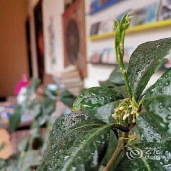 拉萨格林花园客栈酒店提供图片