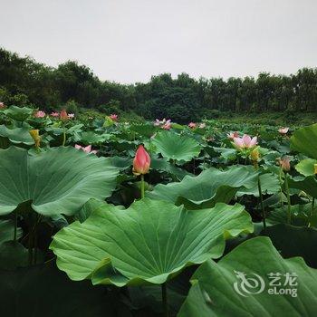 北京汇航桃源酒店酒店提供图片