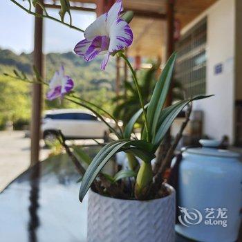 三清山朴子仙居酒店提供图片