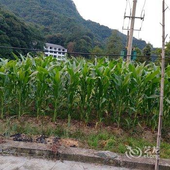 三清山朴子仙居酒店提供图片