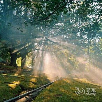 腾冲驿旅阳光客栈酒店提供图片