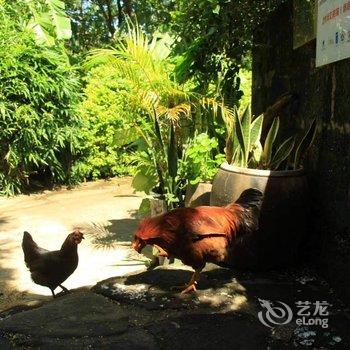 隐拙·东海岸生活美学民宿(涠洲岛贝壳沙滩店)酒店提供图片