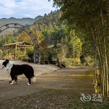 仙居湾湾农庄酒店提供图片