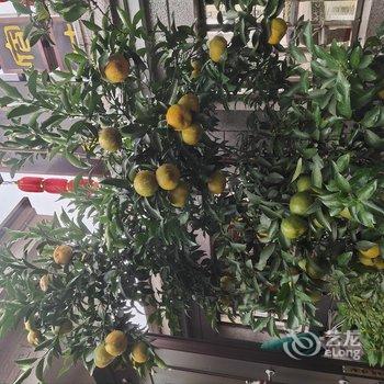 横店心恬民宿酒店提供图片