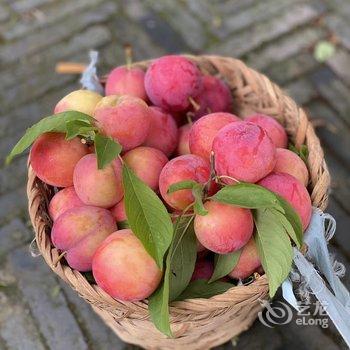 竹里山居·私房菜·民宿(苏州树山店)酒店提供图片