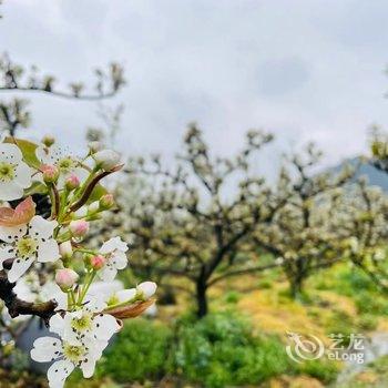 竹里山居·私房菜·民宿(苏州树山店)酒店提供图片