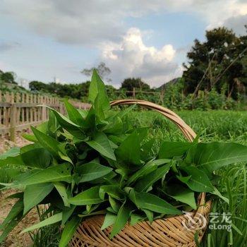 竹里山居·私房菜·民宿(苏州树山店)酒店提供图片