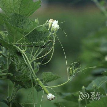 竹里山居·私房菜·民宿(苏州树山店)酒店提供图片