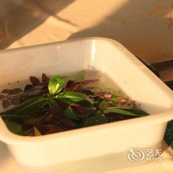 广州玉溪古荔园精品民宿酒店提供图片