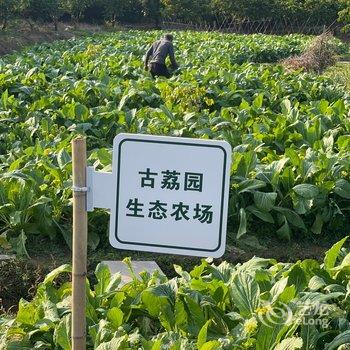 广州玉溪古荔园精品民宿酒店提供图片