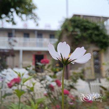 平潭苍海一宿客栈酒店提供图片