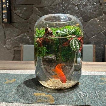 半山丽舍·设计师观雪山全景美宿静谧花园(丽江狮子山店)酒店提供图片