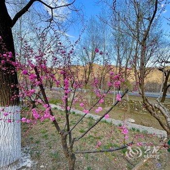 北京宜室怡趣民宿酒店提供图片