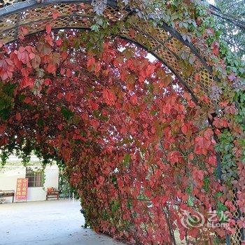 敦煌诚安客栈酒店提供图片