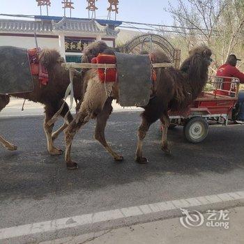 敦煌诚安客栈酒店提供图片