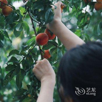 北京万圣谷别墅酒店提供图片