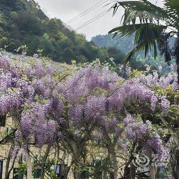 重庆竹里馆酒店酒店提供图片