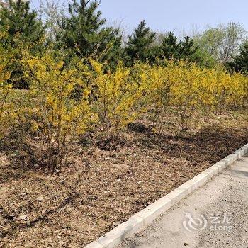 清风民宿(北京大学肿瘤医院店)酒店提供图片