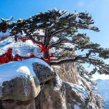 华山景辉客栈酒店提供图片