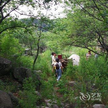 北京节气山房民宿酒店提供图片