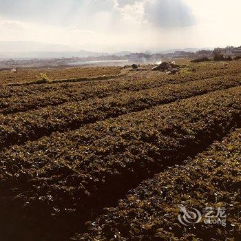 大理溪野谷精品度假民宿酒店提供图片