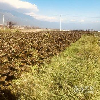 大理溪野谷精品度假民宿酒店提供图片