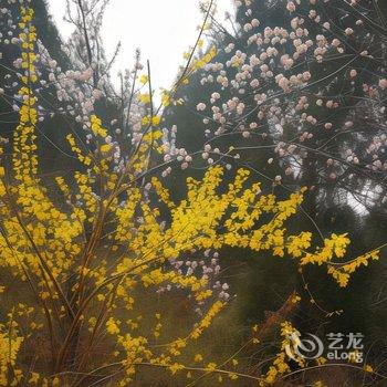 北京节气山房民宿酒店提供图片